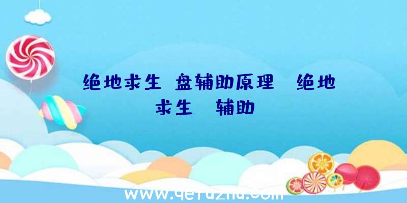「绝地求生u盘辅助原理」|绝地求生tw辅助